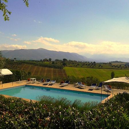 Marco & Andrea Agriturismo Amelia Εξωτερικό φωτογραφία