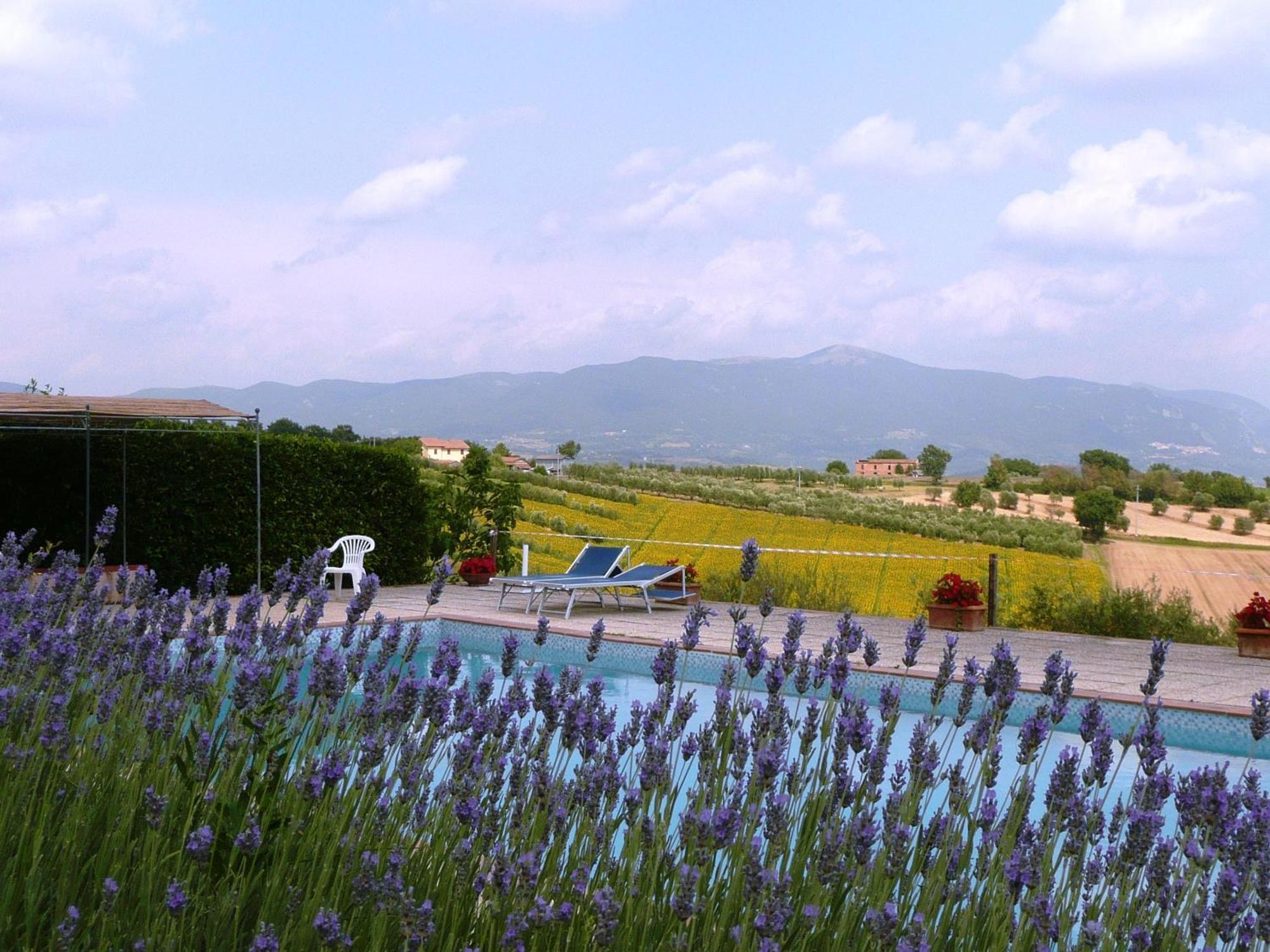 Marco & Andrea Agriturismo Amelia Εξωτερικό φωτογραφία