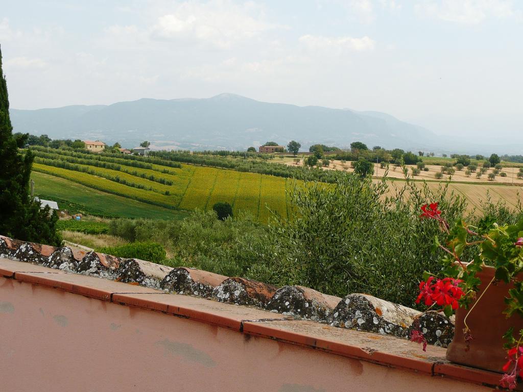 Marco & Andrea Agriturismo Amelia Εξωτερικό φωτογραφία