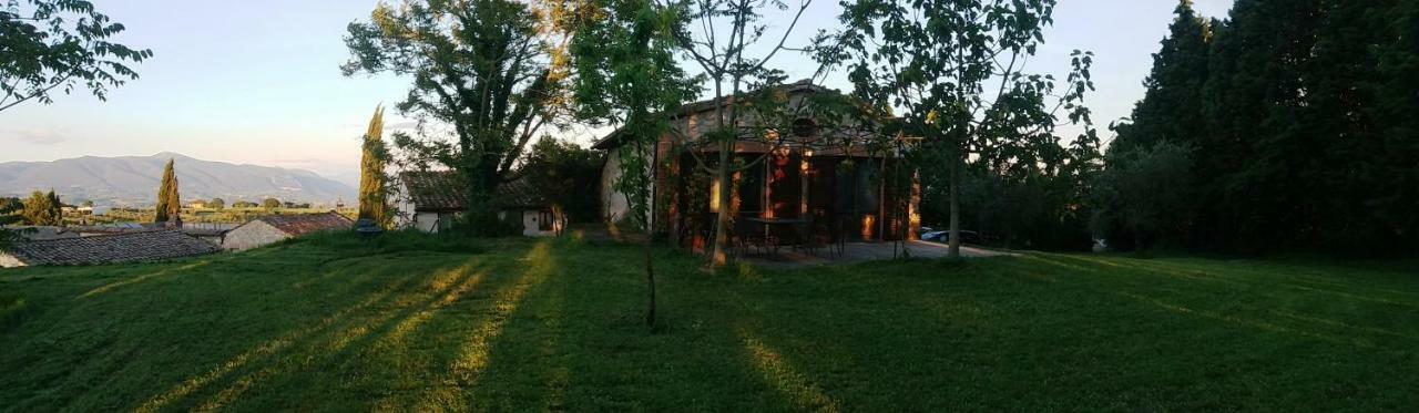 Marco & Andrea Agriturismo Amelia Εξωτερικό φωτογραφία
