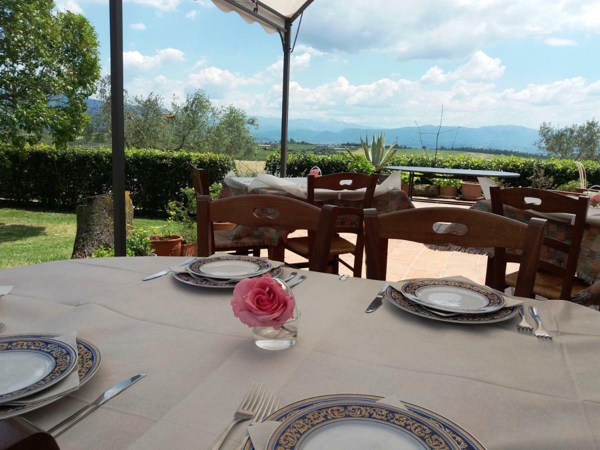 Marco & Andrea Agriturismo Amelia Εξωτερικό φωτογραφία